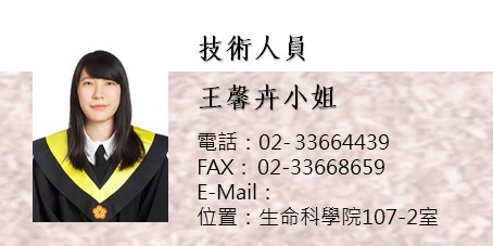 王馨卉